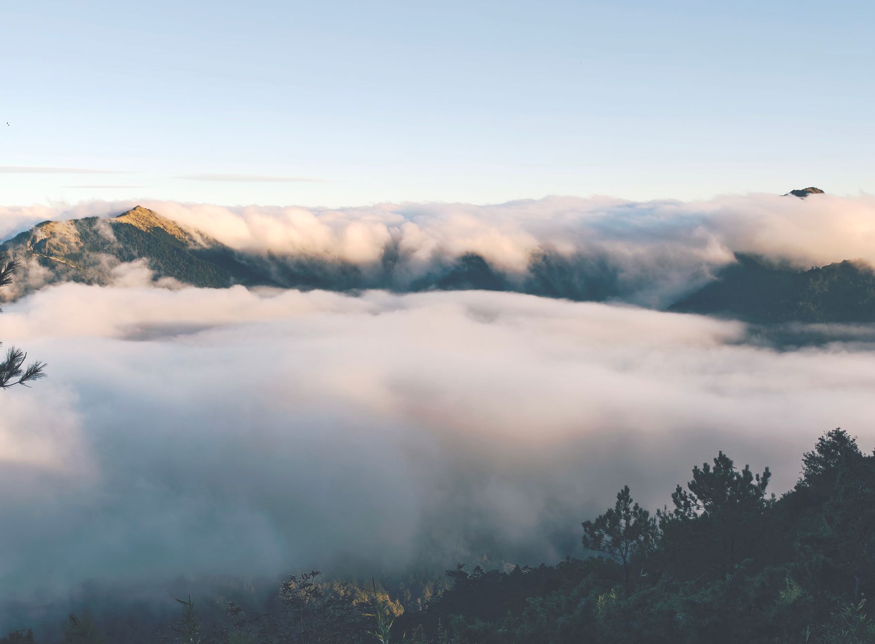 Alishan Sunrise & Forest Railway: A Complete Guide to the Sea of Clouds