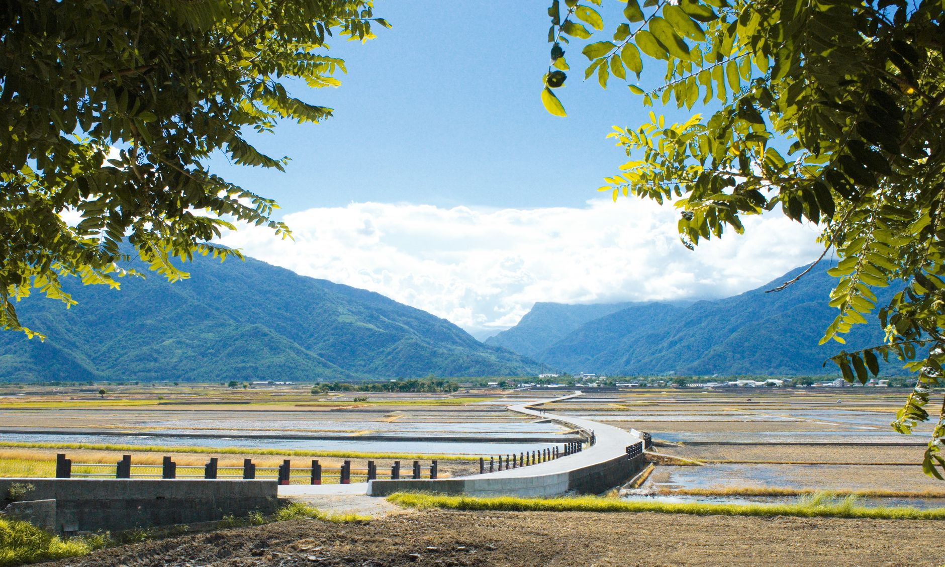 Taitung Rift Valley & Coast Day Tour: Brown Avenue, Sanxiantai & Hot-Air Balloons