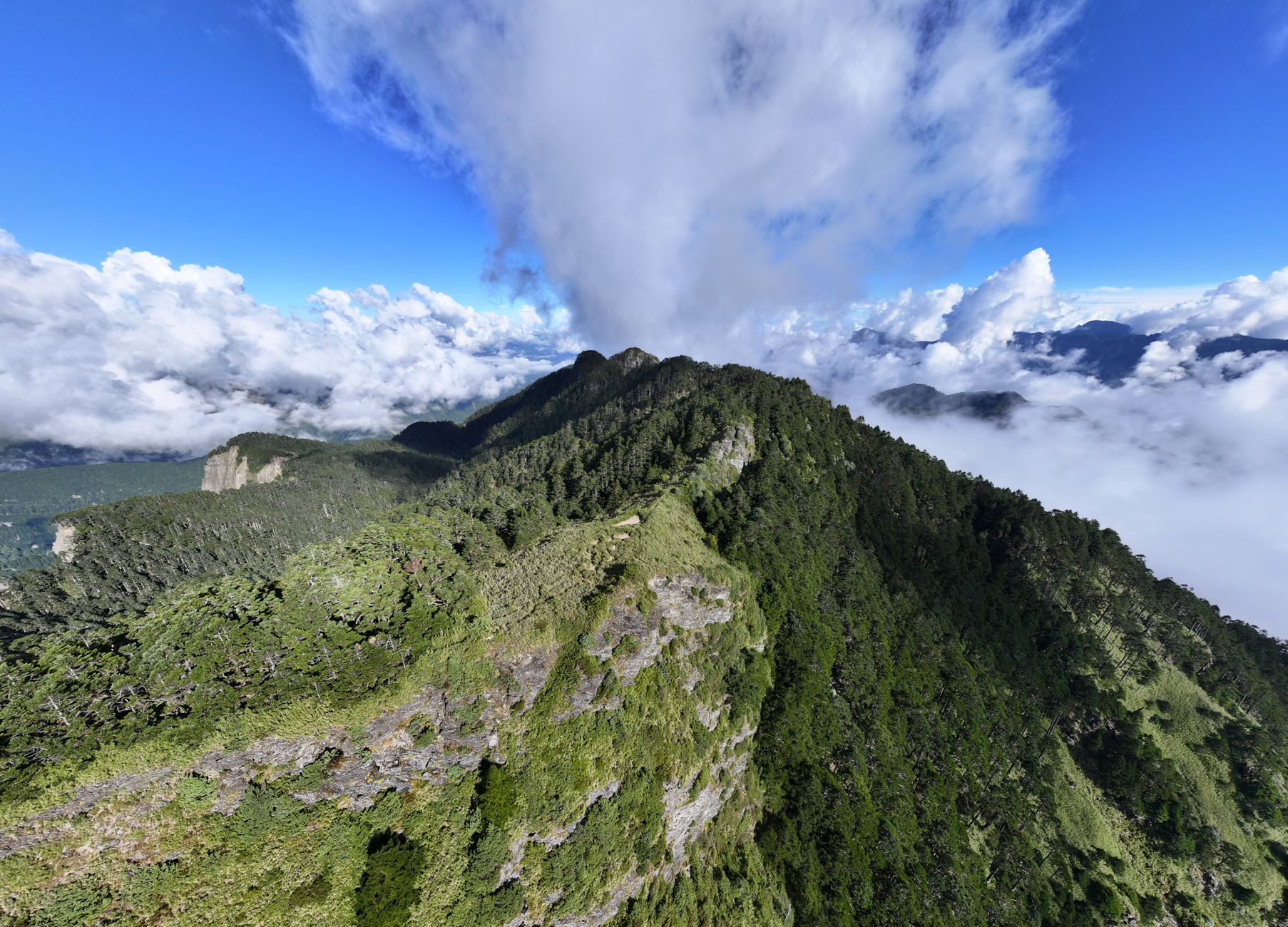 Best Time to Visit Taiwan: A Full Guide to Seasons, Weather & Months to Avoid